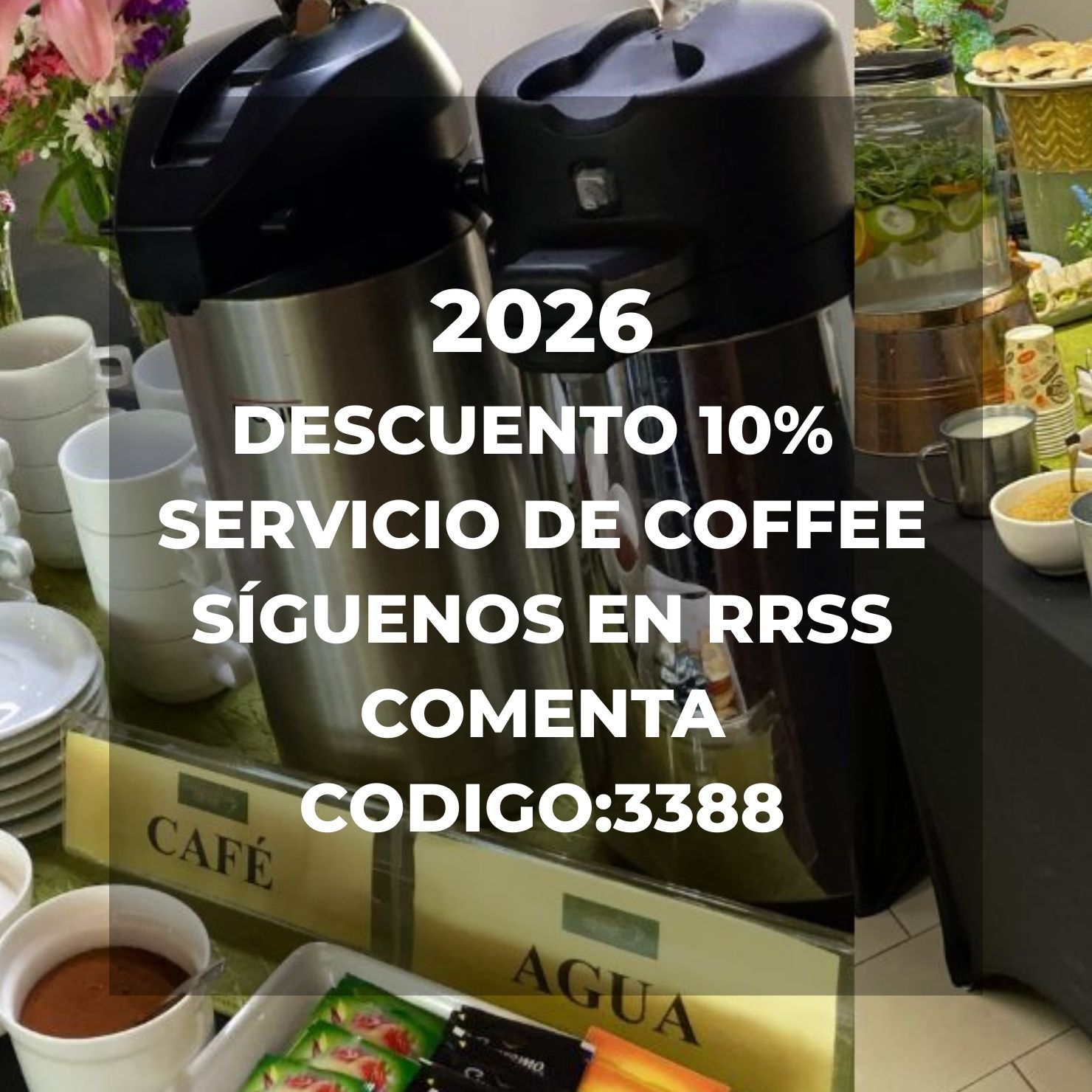 DESCUENTO SUNSEED333